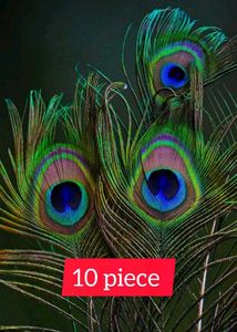Act To 10 Peace
