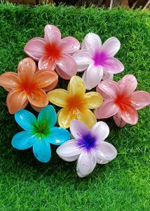 Floral Design Hair Clips