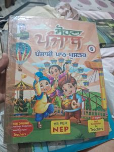 Class 8th Punjabi Book, Sohna Punjab