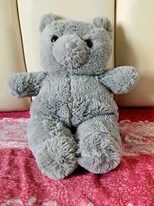 Cute Plush Teddy Bear Set