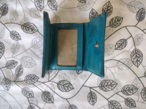 Baggit Wallet