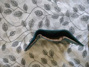Baggit Wallet