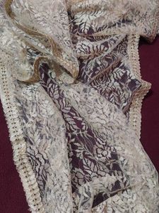 Elegant  Golden Net Dupatta