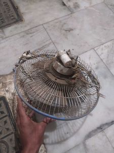 Branded Fan For Room