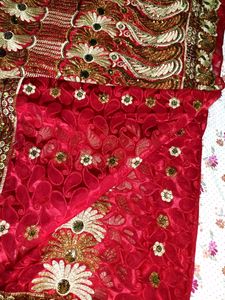 Stunning Red Designer Saree