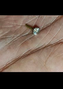 Nose Pin