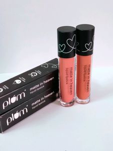 Pack Of 2 Plum Lip Stick Combo