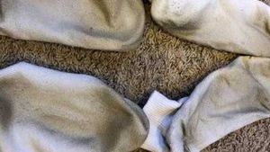 2 pair used regular using for college Socks