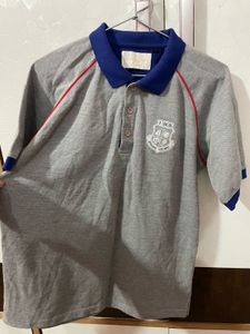 Stylish Grey Polo T-Shirt