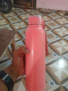 Cello Water Bottle