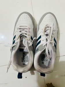 Asian New Shoes