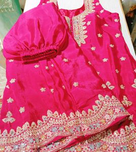 Elegant Pink Plazzo set