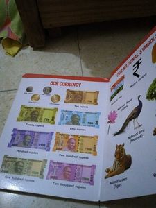 All In One Big Board Book