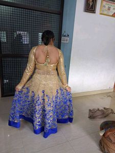 Elegant Ethnic Gown