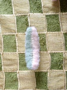 Pastel color hair Claw