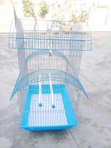 🐦 Brid Cage