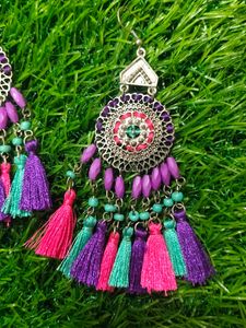Multicolored Tassel Earrings