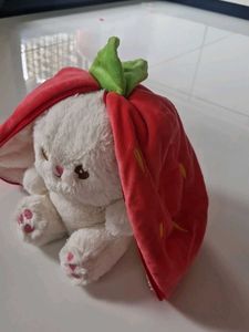 Strawberry Teddy