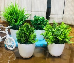 Artificial Plants Combo Of 10