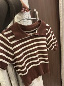 Striped Brown Knit Top