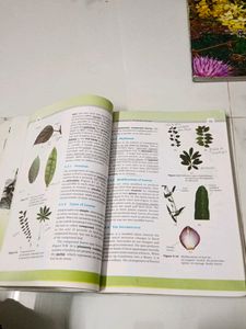 Biology Textbook