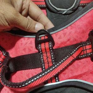 Red &amp; Black Dog Harness with Leash Size L