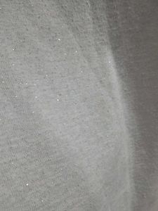 Sheer Shiny Top