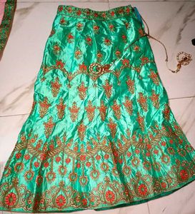 Embroidered Lehenga Skirt
