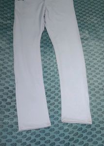 Pant