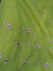 Beautiful Net Saree