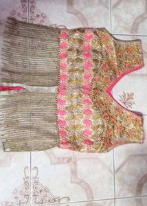 Elegant Indian Dress