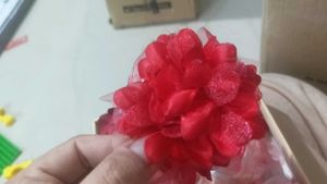 Hair Accessories