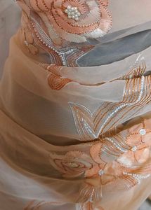 Peach Embellished Saree