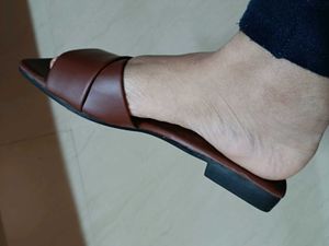 NEW BROWN FLATS