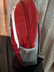 Skybags Bagpack