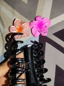 flower clutcher and a claw clip