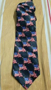 Combo of 9 Ties