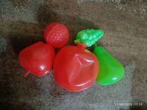 Toy Fruits(5)