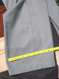 Pant