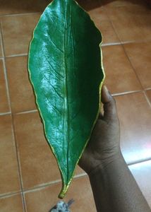 Green Trinket