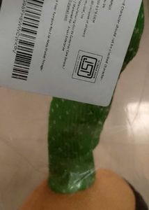 Cactus Talking Toy