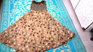 Brown   Skin Color  Organza  Dress.