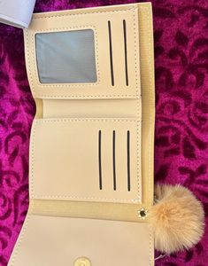 Nude Colour New Wallet