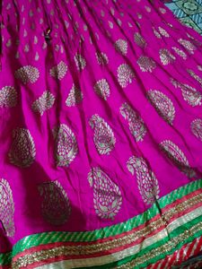 Pink &amp; Gold Lehenga Skirt
