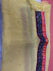 Orange Embellished saree