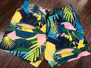 Speedo Swim Trunks