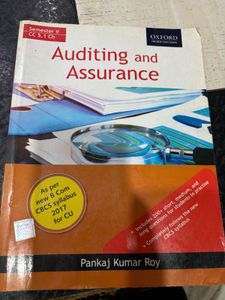 Auditing and Assurance