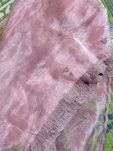 Pink Organza Salwar Kameez