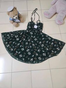 Stunning Green Skater Dress