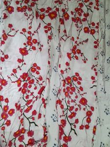 Floral Printed Plazoo💗🏵